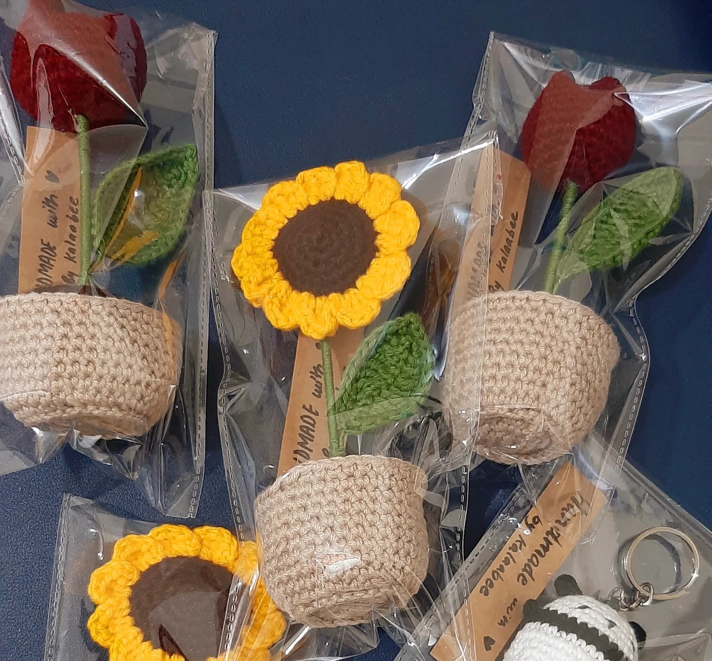 Handcrafted crochet flower pots