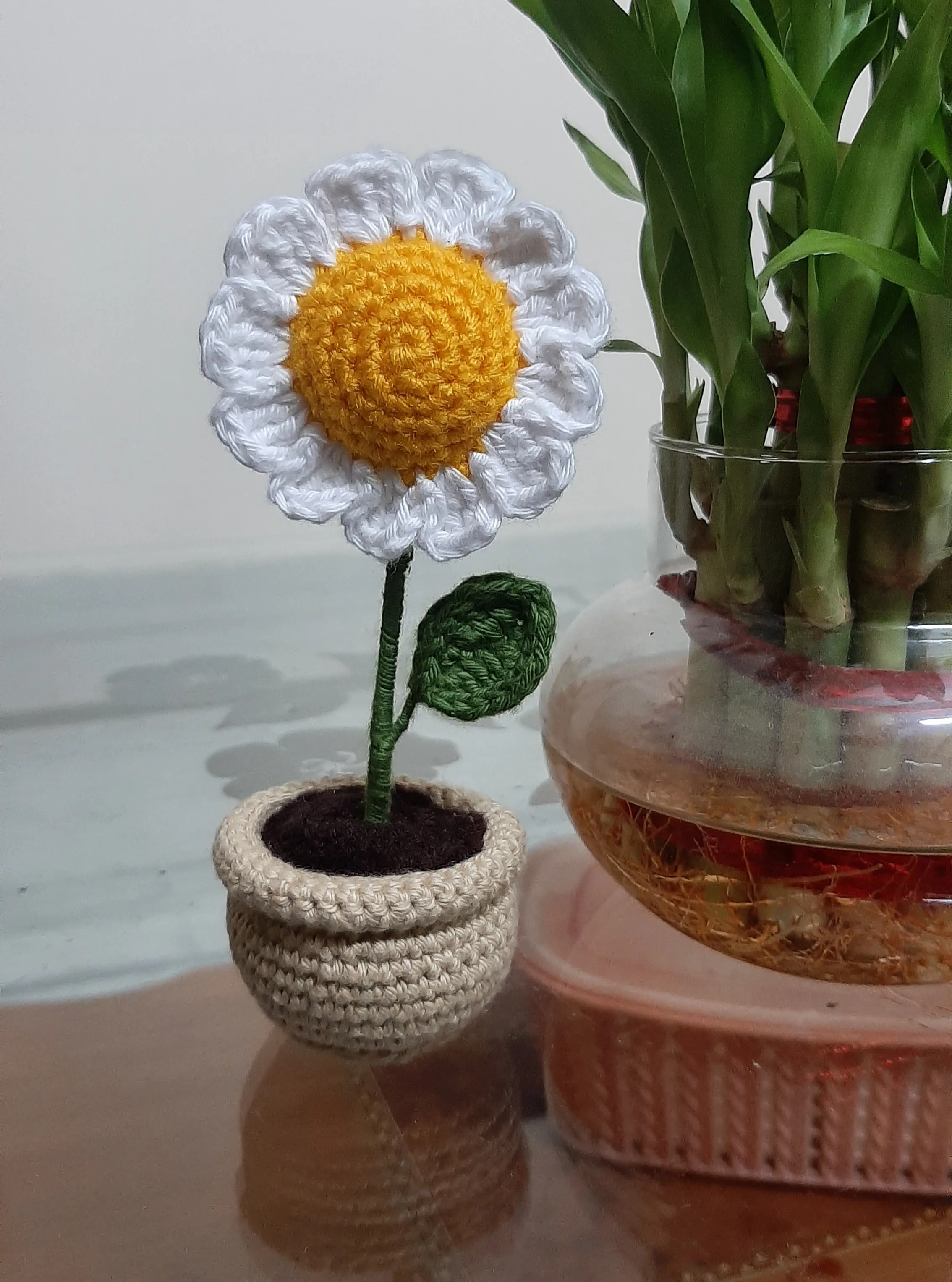 handmade crochet daisy flower pot