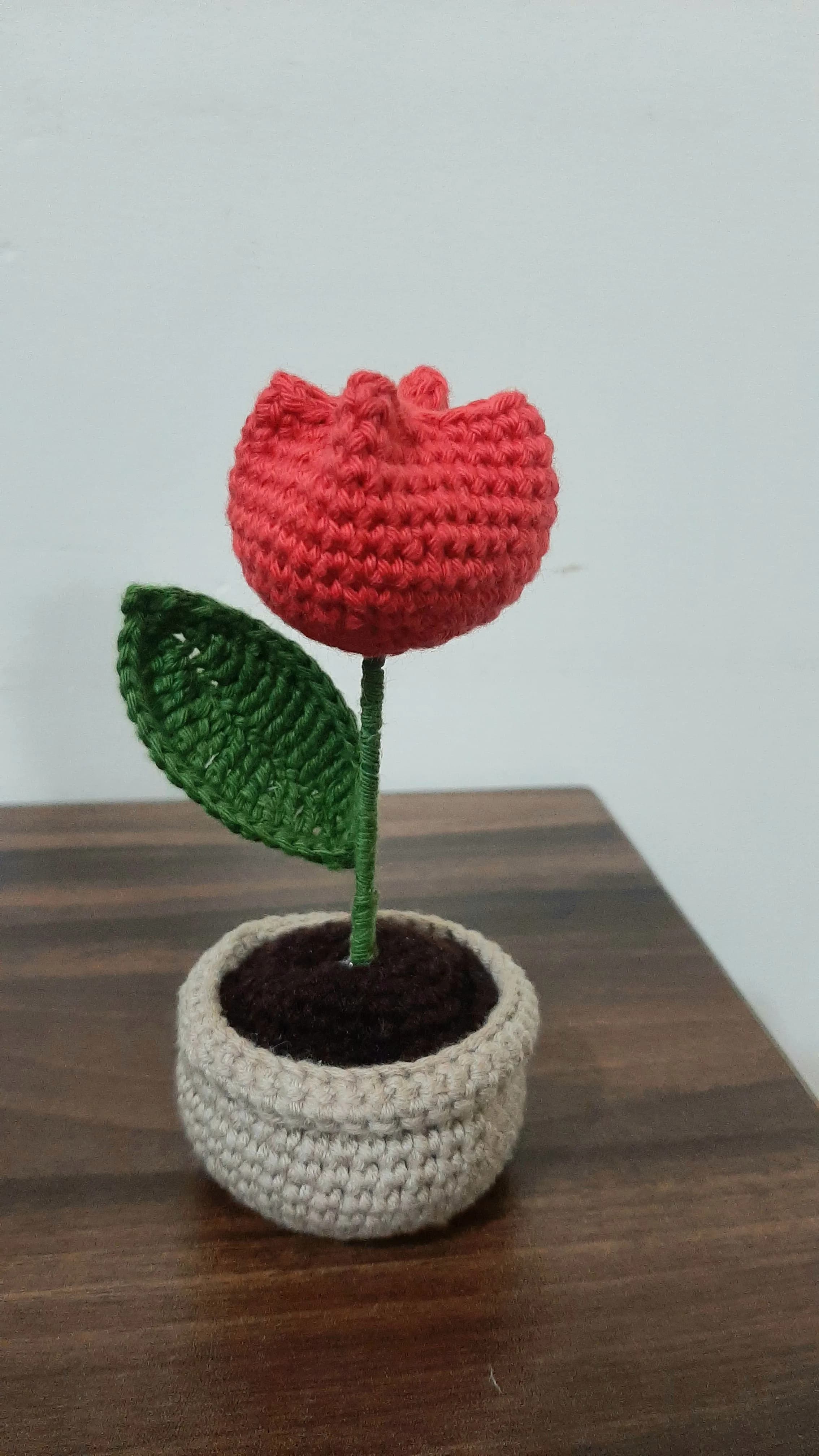 handmade crochet tulip flower pot
